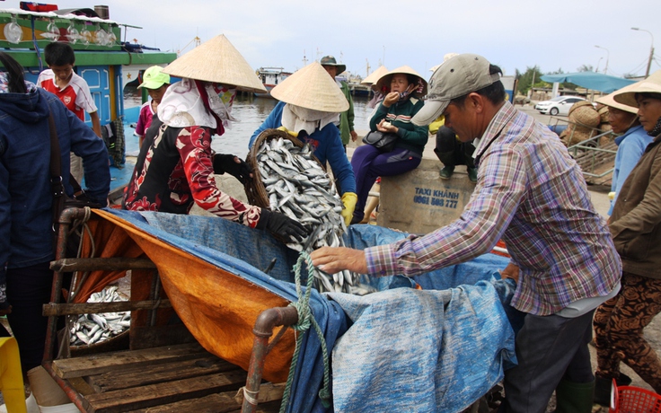 Hậu thảm họa cá chết do Formosa: Dân cần ra biển, không cần gạo cứu trợ mãi