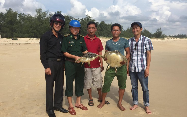 Cứu 2 con rùa biển mắc lưới ngư dân, thả về tự nhiên