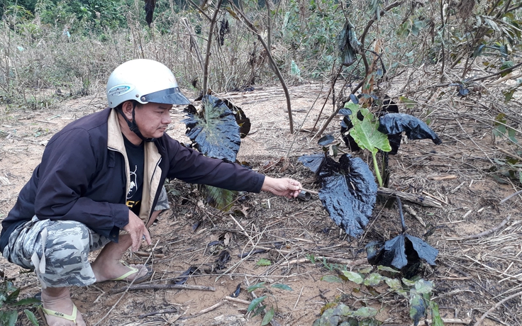 Trạm trộn bê tông nhựa xả thải ra sông Hiếu: UBND tỉnh Quảng Trị vào cuộc