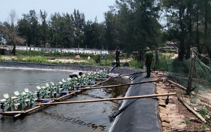 Quảng Trị: Điều tra nghi án hơn 1 triệu con tôm giống bị đầu độc