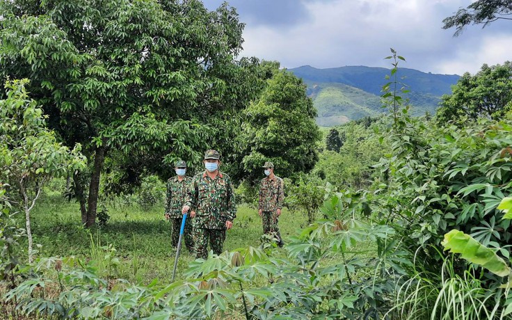 Quảng Trị: Tìm thấy 2 thiếu niên mất tích trong rừng sâu khi đi tìm cỏ nhung