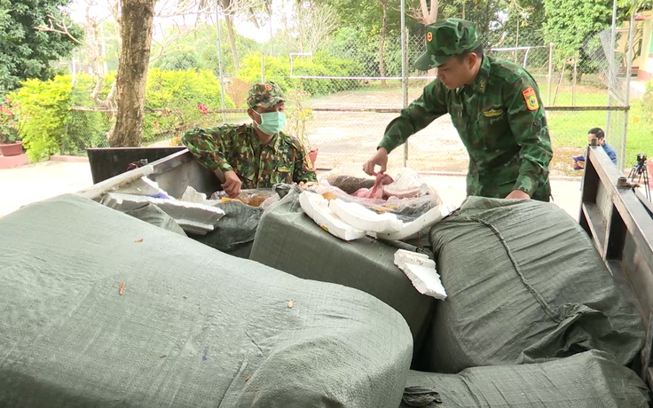Ngăn chặn xe chở 2,5 tấn nội tạng động vật hôi thối từ Quảng Trị vào Huế