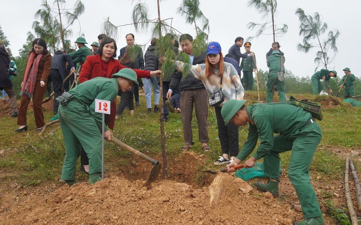 Tỉnh Quảng Trị và Quảng Bình tổ chức ‘Tết trồng cây’