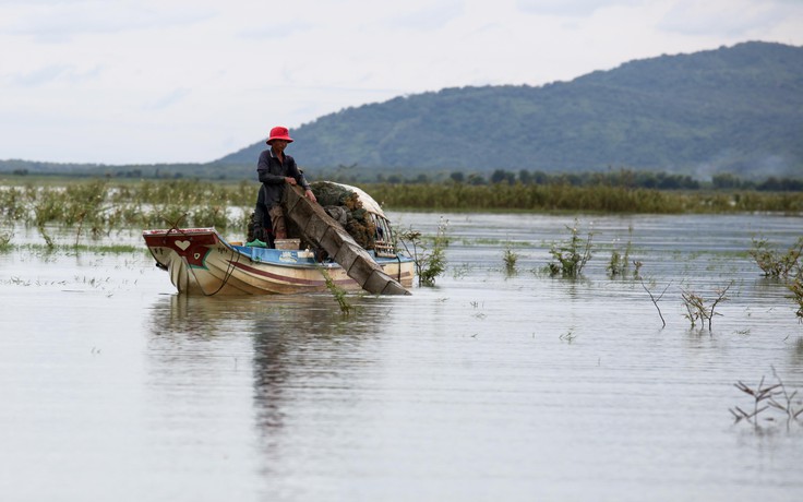 Tây Ninh: Cấm đánh bắt thủy sản trong hồ Dầu Tiếng trong vòng 1 tháng