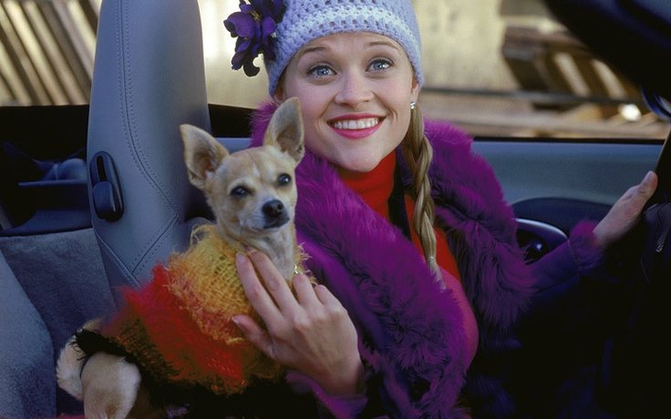 Reese Witherspoon 'âm mưu' thực hiện phần 3 'Legally Blonde'