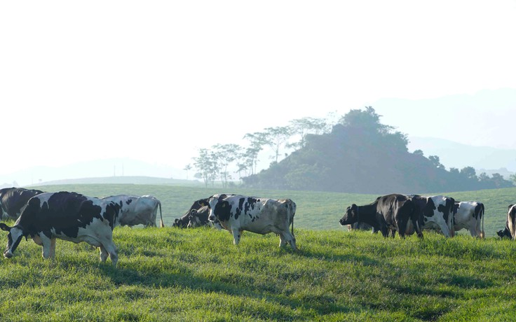 Mộc Châu Milk: Đồng hành cùng các gia đình trong cuộc sống ‘bình thường mới’