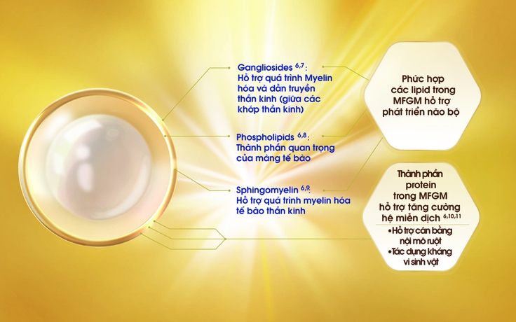 Thành phần đột phá giúp nuôi dưỡng IQ và EQ cho trẻ nhỏ