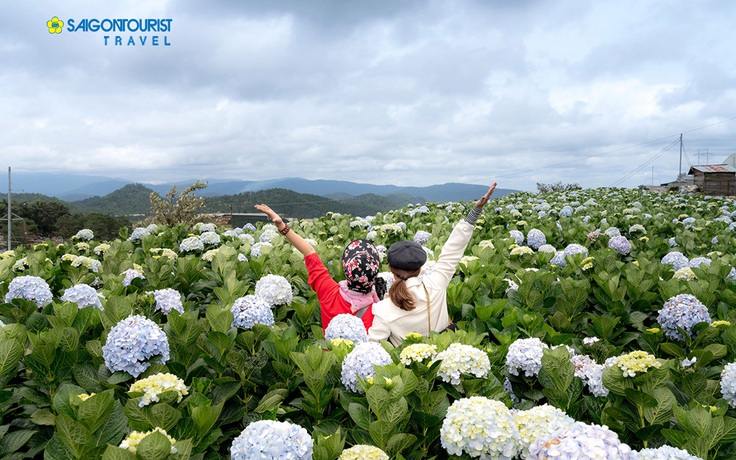 4 hành trình không thể bỏ qua trong hè này