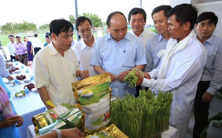 Màu xanh trên vùng cát trắng