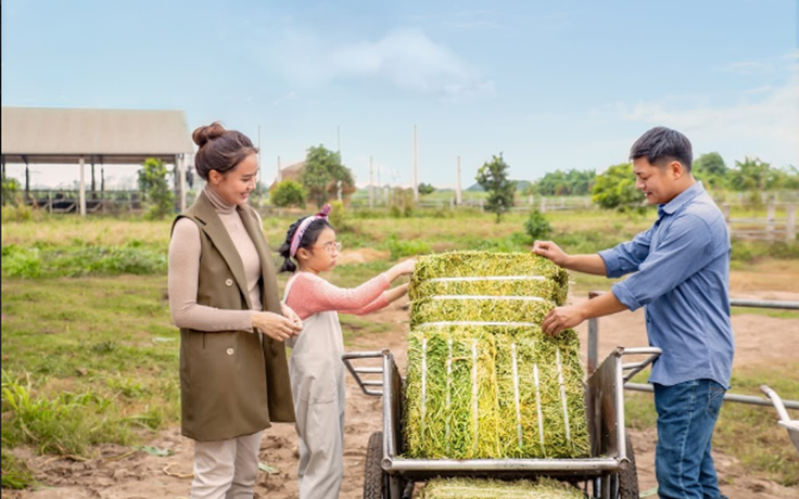 Khám phá hành trình giọt sữa, Hồng Diễm bất ngờ với tầm vóc Cô Gái Hà Lan