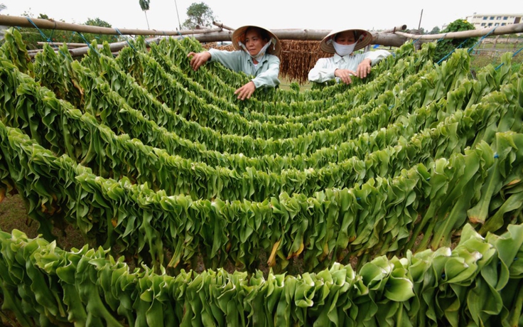 Tìm lối thoát cho ‘cơn ác mộng’ đi tiểu nhiều lần về đêm