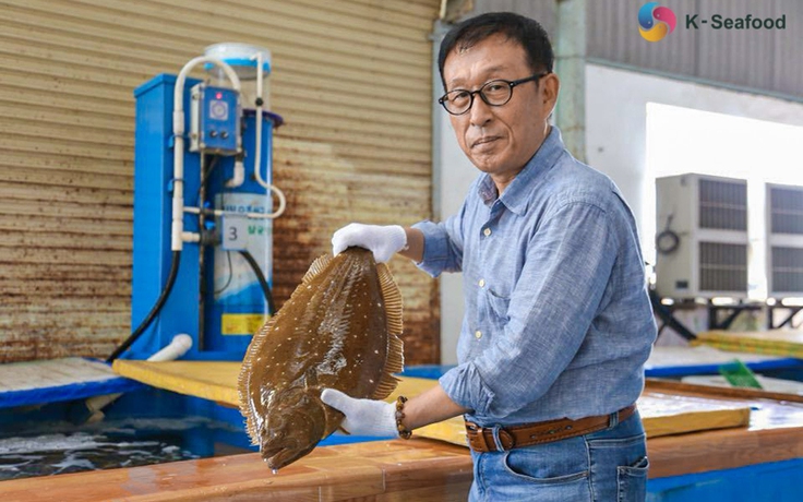 Công ty Nhi Corp chuyên phân phối nguồn hải sản tươi ngon nhập từ Hàn Quốc