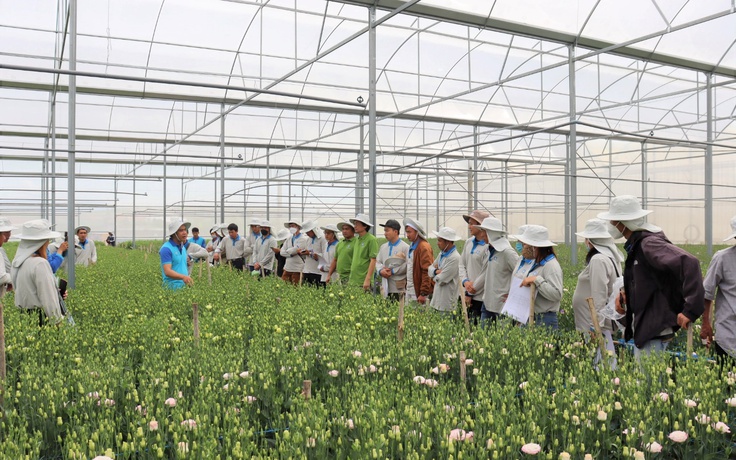 Phát triển bền vững - ‘chìa khóa vàng’ cho doanh nghiệp hoạt động trong ngành nông nghiệp