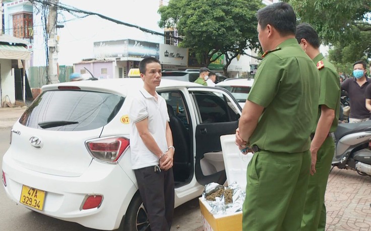 Đắk Lắk: Chở thùng hàng chứa 3 kg cần sa ngụy trang 'trà atiso' đi... gửi bưu điện