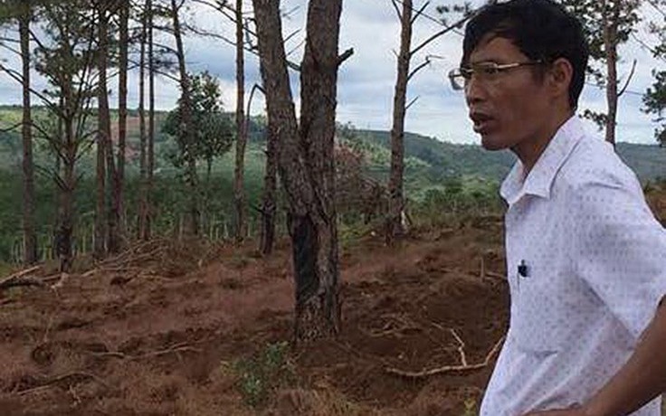 Bắt tạm giam một chủ tịch xã vì để mất rừng