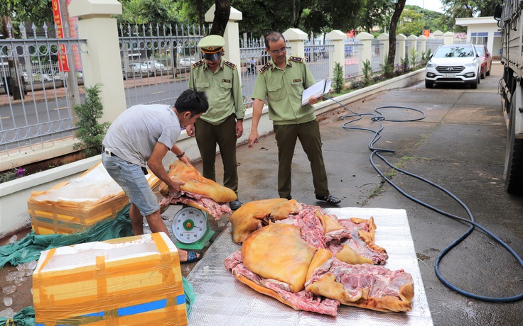 Đắk Lắk: Ngăn chặn 300 kg thịt heo "bẩn" chuẩn bị bán ra thị trường
