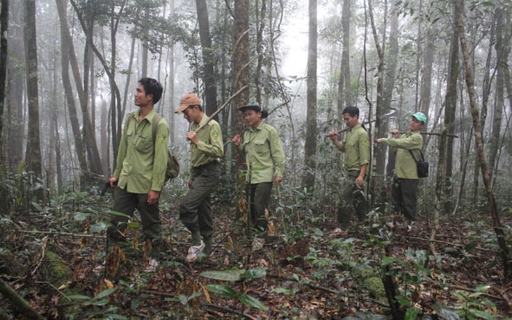 Nổ súng ở khu vực rừng Vườn quốc gia Chư Yang Sin, 1 kiểm lâm bị thương