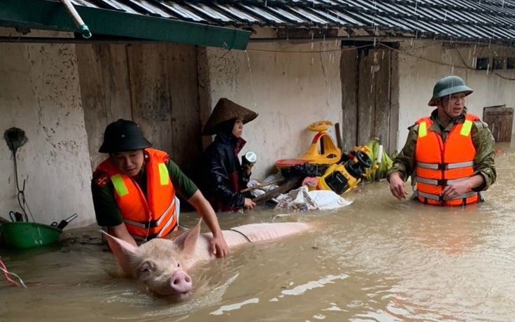 Mưa lớn, lũ dâng cao, người dân Tam Đảo hối hả sơ tán tài sản