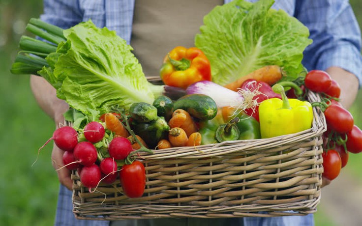Chế độ ăn nền thực vật mang lại lợi ích gì cho sức khỏe?