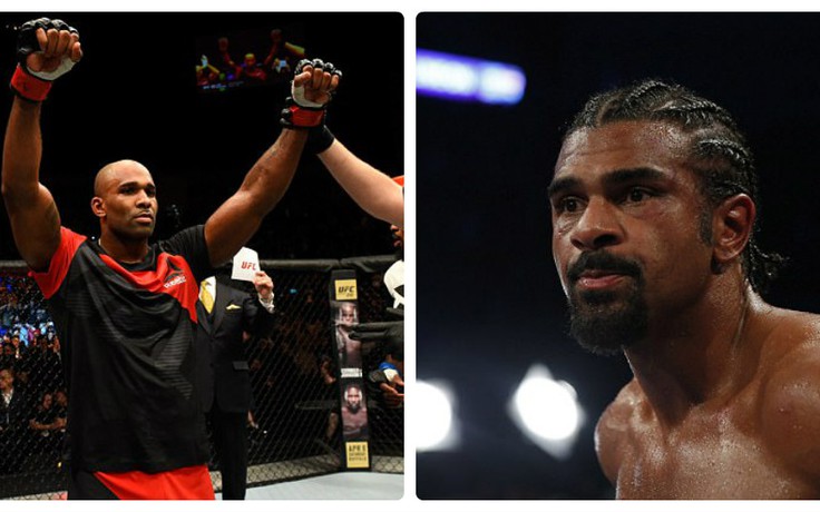 Haye muốn thượng đài với 'thánh knock out' của UFC