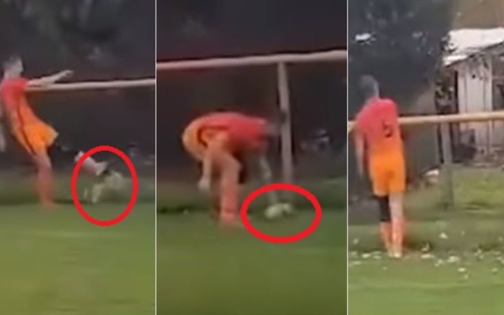 Cầu thủ Croatia đối mặt án tù vì… đá chết gà trên sân