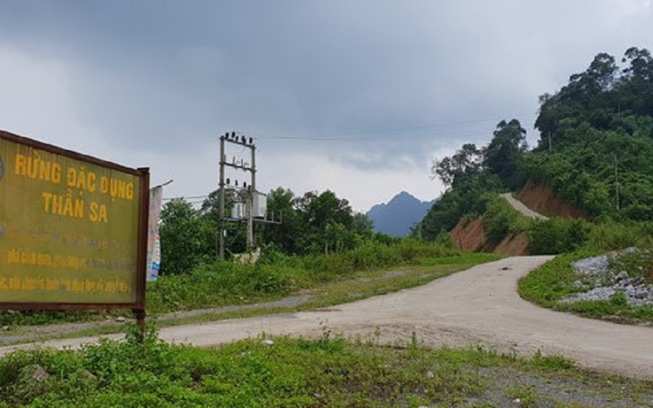 Thái Nguyên kiểm tra vụ xâm hại rừng đặc dụng Thần Sa… lần thứ 4