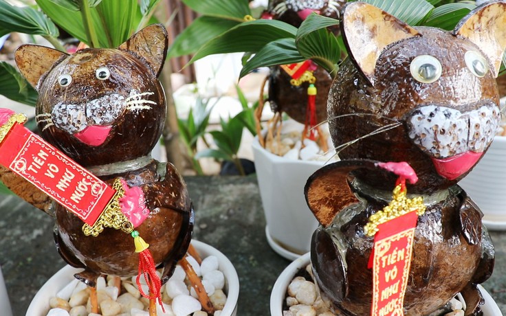 Lạ mắt dừa bonsai hình mèo tiền triệu: thức làm đến nửa đêm cho khách chơi Tết