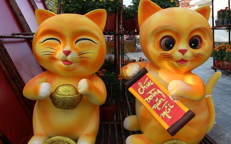 Mèo Bạc Liêu thu hút người dân tại sự kiện ‘Chợ quê ngày Tết’ Mèo Bạc Liêu thu hút người dân tại sự kiện ‘Chợ quê ngày Tết’