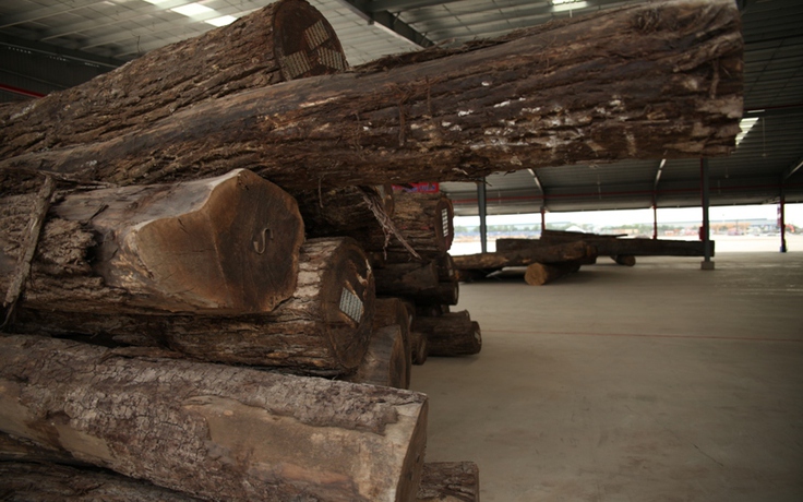 Đưa vào hoạt động trung tâm gỗ nguyên liệu Tavico Long Bình lớn 40 ha