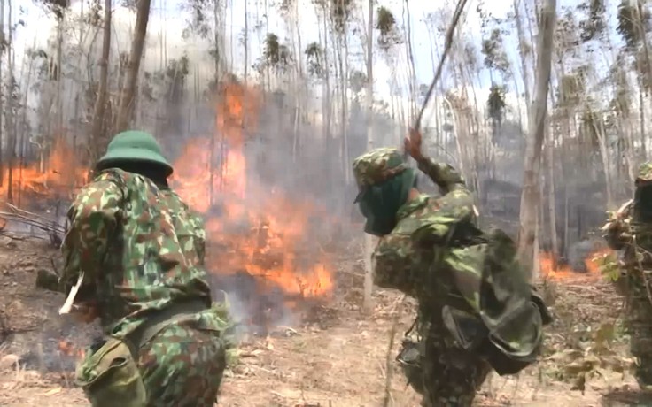 Cháy 50 ha rừng ở Phú Yên, hàng trăm cán bộ, chiến sĩ tham gia chữa cháy