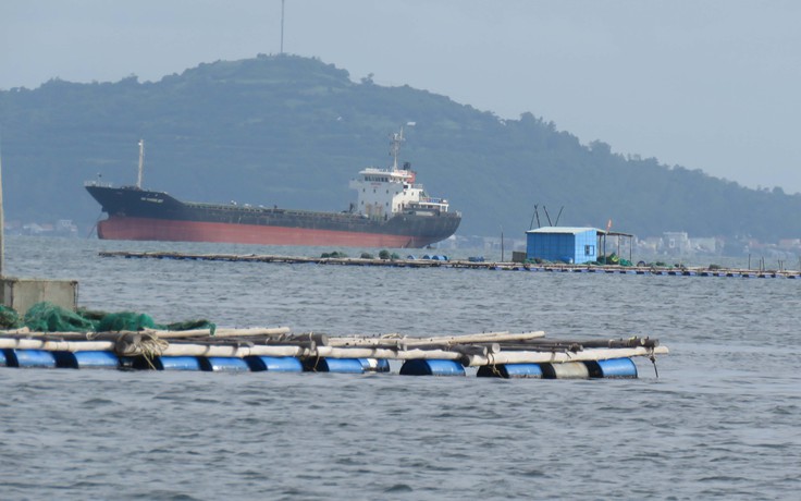 Phú Yên: 14 tàu vận tải biển tránh trú bão số 9 tại vịnh Xuân Đài