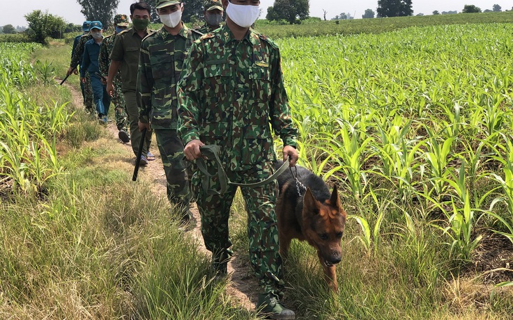 An Giang: Khởi tố 5 bị can 'đường dây' đưa bệnh nhân 1440 nhập cảnh trái phép