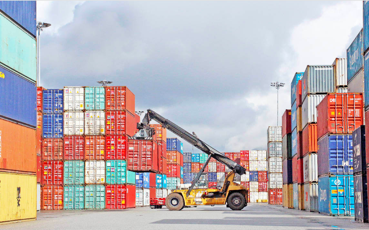 Vụ lừa xuất khẩu điều sang Ý: Đã giữ lại được 16 container tại cảng