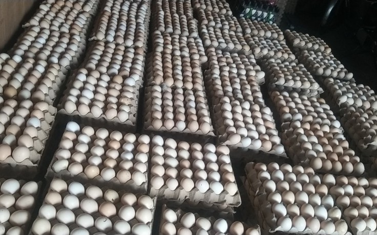 TP.HCM tăng giá trứng gia cầm từ ngày 15.6