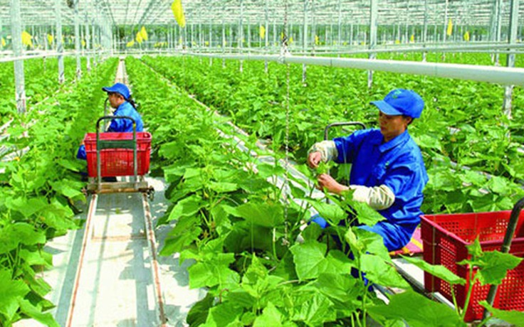 Đài Loan mở rộng tiếp nhận lao động Việt Nam ở 7 ngành nghề