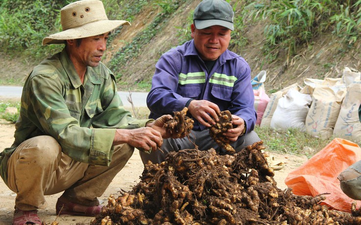 Trưởng bản giúp dân thoát nghèo