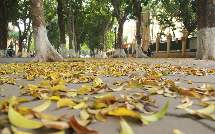 Hà Nội mùa lá vàng rơi