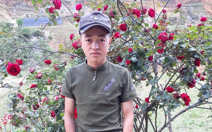 Chàng trai đau đáu tìm kiếm cây hoa hồng cổ 20 năm tuổi bị trộm