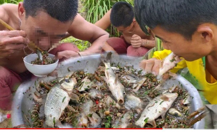 Ăn cá sống to bằng bắp chân: Xúc phạm ẩm thực truyền thống