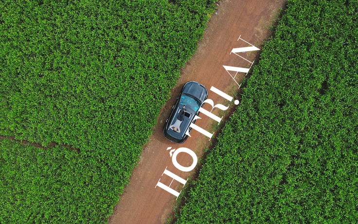 Cắm trại 'bao đẹp, bao phê' gần sát Sài Gòn: Sống chậm giữa ngàn cây