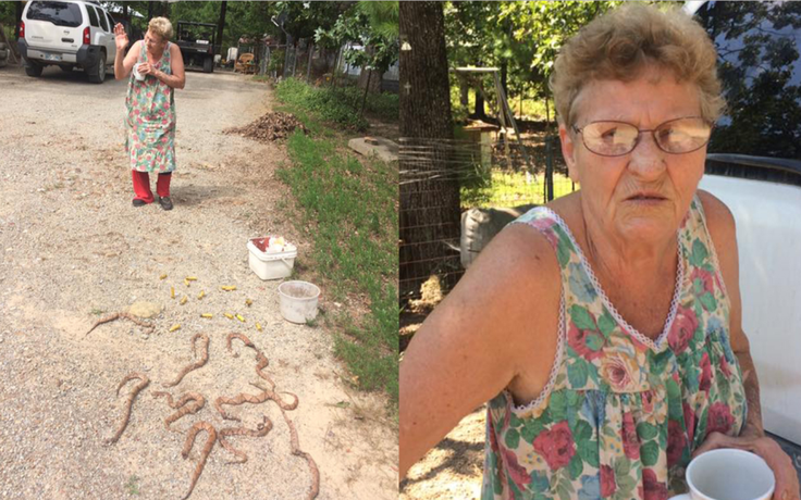‘Dũng sĩ’ diệt rắn ở tuổi 72, xử lý gần 20 con hổ mang