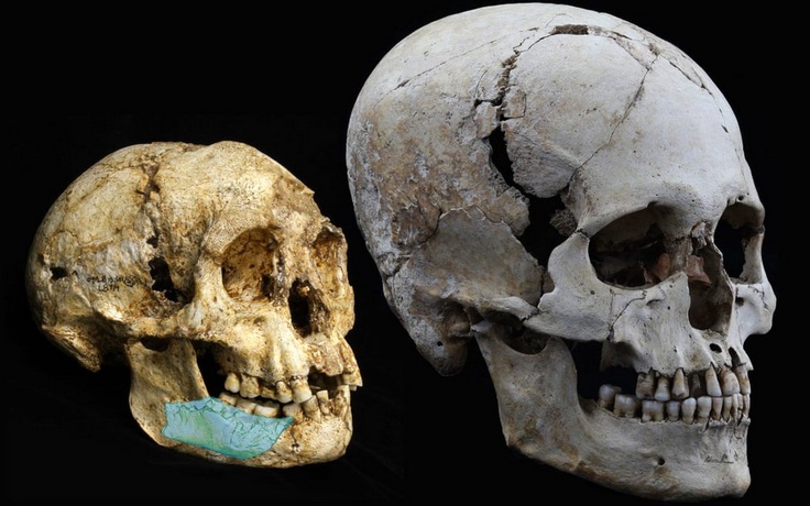Phát hiện dấu tích loài người mới trong hang động Philippines