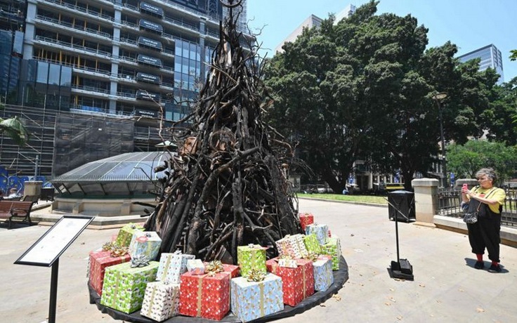 Lạ lùng ‘cây giáng sinh cháy trụi’ ở trung tâm Sydney