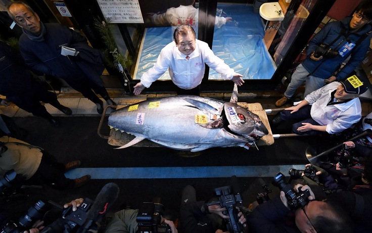 ‘Vua cá ngừ’ Nhật chi 1,8 triệu USD cho con cá 'lấy hên' đầu năm