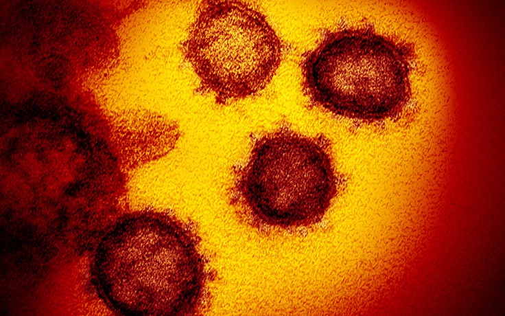 Nhật Bản thử dùng thuốc HIV trị virus Corona mới