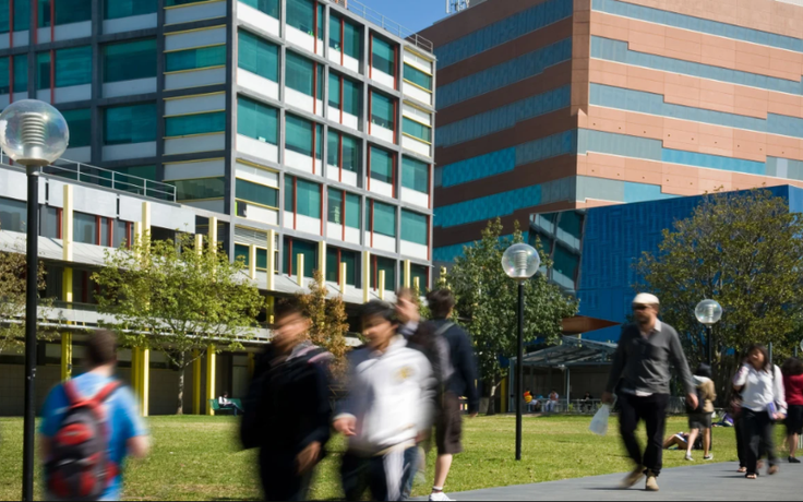 Các đại học Úc đề xuất biện pháp đưa du học sinh quay lại Úc