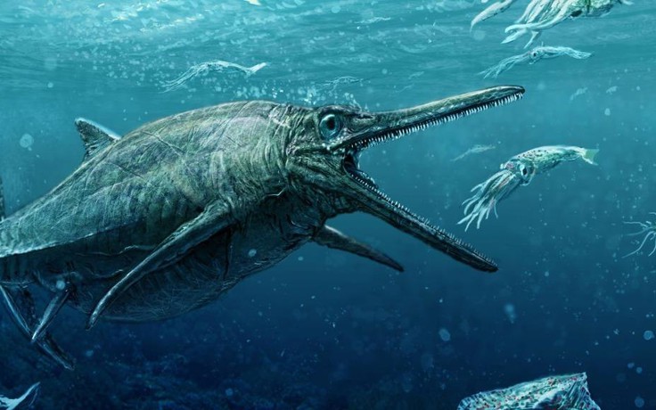 Kỳ thú hóa thạch kẻ săn mồi 240 triệu năm tuổi với con mồi 3,6m trong dạ dày