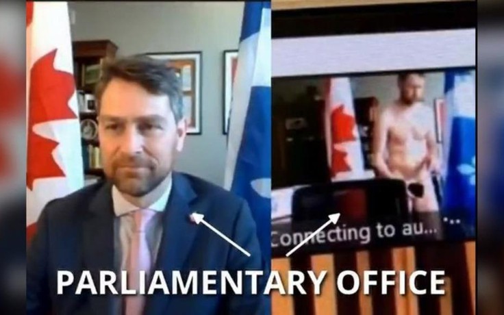 Nữ đồng nghiệp sốc vì nghị sĩ Canada khỏa thân trong cuộc họp quốc hội trực tuyến