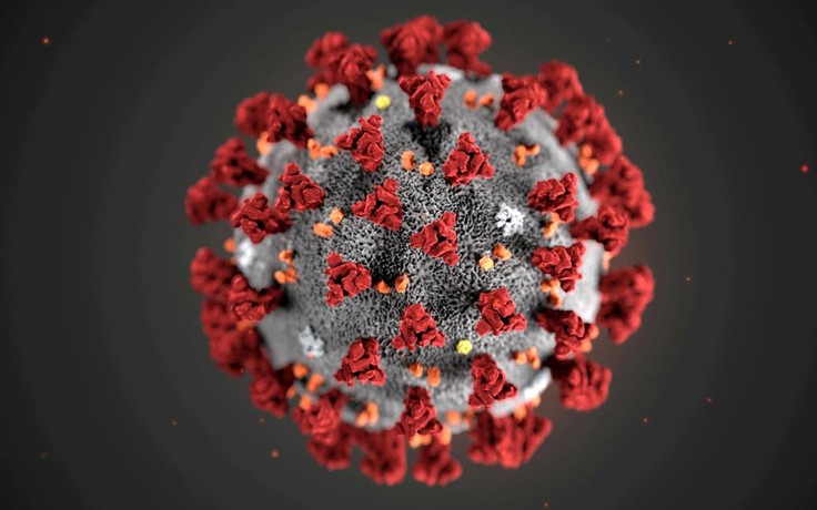 Tìm ra kháng thể giảm nguy cơ bệnh nặng do virus Corona, kể cả Covid-19