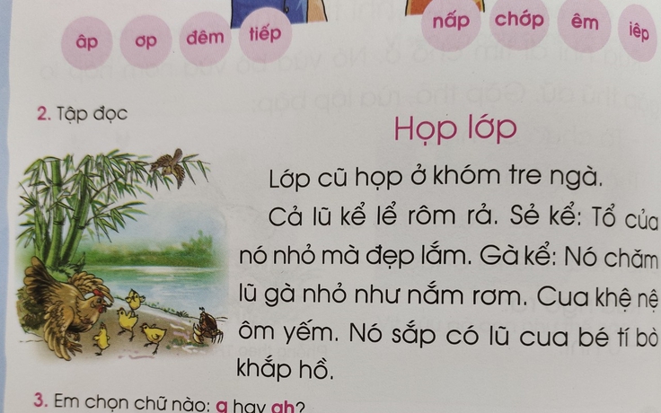 So sánh khó hiểu trong sách tiếng Việt lớp 1: Nhỏ như 'nắm rơm' hay 'nấm rơm'?